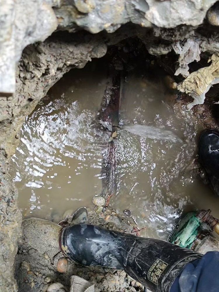 榆树地区绿化水管漏水检测维修